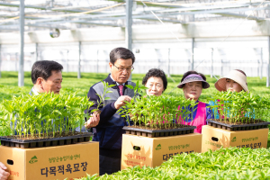 청양군, 우량 고추모종 100만주 공급