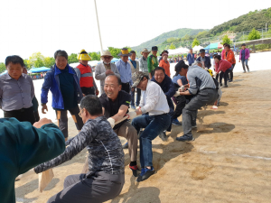 화성면, 제23회 면민화합 한마당 축제 개최