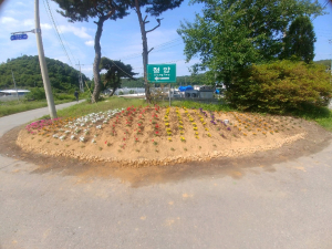 대치면, 쓰레기 상습 투기지역에 화단 설치