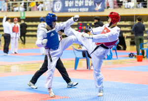 청양군수배 전국대학 태권도 동아리선수권대회 성료
