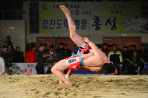 청산리 전투 100주년 “백야 김좌진 장군 나라사랑 선양의 해” 기념