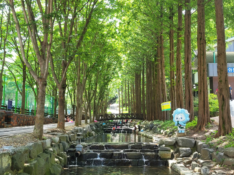 칠갑산자연휴양림 새 단장 마치고 여름철 개장