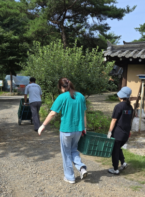 청양교육지원청, 폭염 속 농촌 일손돕기 봉사활동 실시