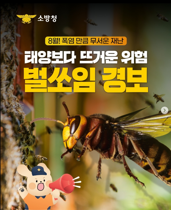 청양소방서, “8월에 가장 바쁜 벌” 벌쏘임 주의 당부