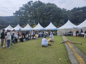 술과 나무, 전통의 향기로 물든 청양 가을